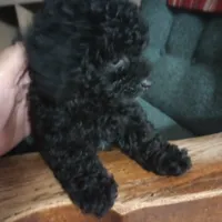 processed/78e596fb-92db-4699-96ba-6508406ed6c7/facility/6060e7e5-14c3-4c5c-9e94-f59c0dfc0b08