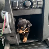 processed/78e596fb-92db-4699-96ba-6508406ed6c7/facility/68e02a08-6fa6-45cd-bb2f-48dd5ae46fd3