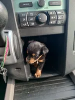 processed/78e596fb-92db-4699-96ba-6508406ed6c7/facility/68e02a08-6fa6-45cd-bb2f-48dd5ae46fd3