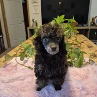 processed/78e596fb-92db-4699-96ba-6508406ed6c7/facility/6b29aca9-d55e-4d46-bccd-73642821df60