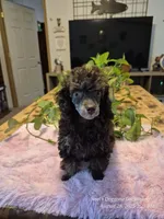 processed/78e596fb-92db-4699-96ba-6508406ed6c7/facility/6b29aca9-d55e-4d46-bccd-73642821df60