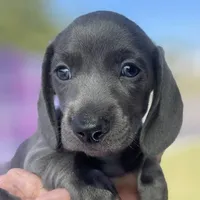 processed/78e596fb-92db-4699-96ba-6508406ed6c7/facility/86fc1c95-a1d9-4613-a7c0-c850472e3a92