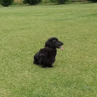 processed/78e596fb-92db-4699-96ba-6508406ed6c7/facility/a18199a4-e566-4b85-94df-838ec7ed3650