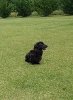 processed/78e596fb-92db-4699-96ba-6508406ed6c7/facility/a18199a4-e566-4b85-94df-838ec7ed3650