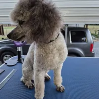 processed/78e596fb-92db-4699-96ba-6508406ed6c7/facility/cb8df2bc-d2b3-4707-89d5-45f2849a6186