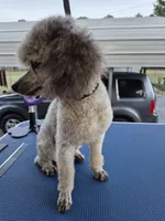 processed/78e596fb-92db-4699-96ba-6508406ed6c7/facility/cb8df2bc-d2b3-4707-89d5-45f2849a6186