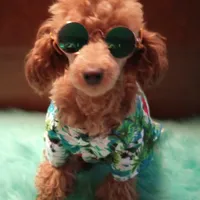 processed/78e596fb-92db-4699-96ba-6508406ed6c7/facility/dce63a1d-0e18-4afb-86dd-63cb4f7ebe74