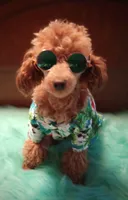 processed/78e596fb-92db-4699-96ba-6508406ed6c7/facility/dce63a1d-0e18-4afb-86dd-63cb4f7ebe74