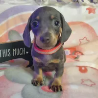 processed/78e596fb-92db-4699-96ba-6508406ed6c7/facility/ef7cd21b-f9b0-4136-8304-6cd14f97fcc9