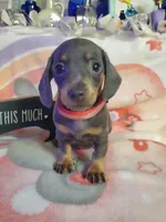 processed/78e596fb-92db-4699-96ba-6508406ed6c7/facility/ef7cd21b-f9b0-4136-8304-6cd14f97fcc9