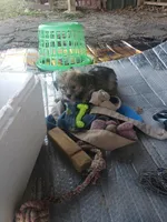 processed/78ee4468-4048-42f9-a886-ccfdc98ad3e0/facility/01251ddc-8d6d-424f-9b36-99313b382bca