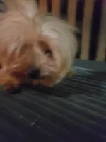 processed/78ee4468-4048-42f9-a886-ccfdc98ad3e0/facility/351c37d2-a43b-44ca-963b-54f5913f4d41