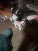 processed/78ee4468-4048-42f9-a886-ccfdc98ad3e0/facility/4d8971b4-3431-4e0f-bc90-08883742797a