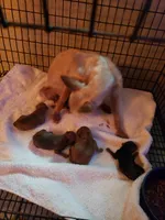 processed/78ee4468-4048-42f9-a886-ccfdc98ad3e0/facility/c3758b72-892b-4aea-a290-adc713ae2599