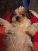 processed/78ee4468-4048-42f9-a886-ccfdc98ad3e0/facility/cb67af9c-22ee-45e7-ad8c-84809a132389