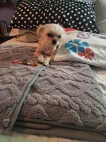 processed/78ee4468-4048-42f9-a886-ccfdc98ad3e0/facility/d46e4648-5322-4848-8b5d-8b81cfb95cc7