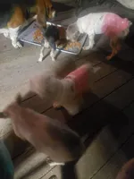 processed/78ee4468-4048-42f9-a886-ccfdc98ad3e0/facility/fe41a986-731c-4cbf-92e6-5c47ccd95f10