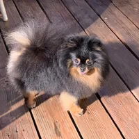 processed/78f6b63c-354c-4f14-8695-5b8f44a83988/facility/26376701-9011-4a71-971a-17b16442837c