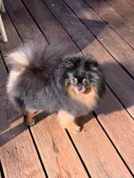 processed/78f6b63c-354c-4f14-8695-5b8f44a83988/facility/26376701-9011-4a71-971a-17b16442837c