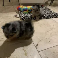 processed/78f6b63c-354c-4f14-8695-5b8f44a83988/facility/2d21f382-e1f3-4893-af03-a37341d7c696