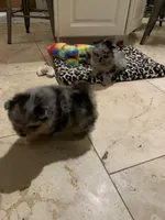 processed/78f6b63c-354c-4f14-8695-5b8f44a83988/facility/2d21f382-e1f3-4893-af03-a37341d7c696