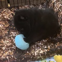 processed/78f6b63c-354c-4f14-8695-5b8f44a83988/facility/5f50ccf2-a760-4397-b427-46c64ab7d652