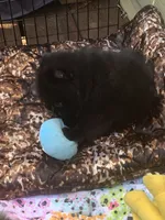 processed/78f6b63c-354c-4f14-8695-5b8f44a83988/facility/5f50ccf2-a760-4397-b427-46c64ab7d652