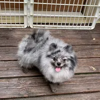 processed/78f6b63c-354c-4f14-8695-5b8f44a83988/facility/701d3e3b-fb89-469c-9d3a-f0c12461f315