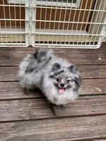 processed/78f6b63c-354c-4f14-8695-5b8f44a83988/facility/701d3e3b-fb89-469c-9d3a-f0c12461f315