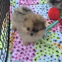 processed/78f6b63c-354c-4f14-8695-5b8f44a83988/facility/77424336-0883-43c9-8115-25c8ca8a56d1