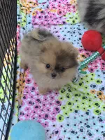 processed/78f6b63c-354c-4f14-8695-5b8f44a83988/facility/77424336-0883-43c9-8115-25c8ca8a56d1