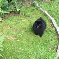 processed/78f6b63c-354c-4f14-8695-5b8f44a83988/facility/7b94b795-8f48-4d4b-a46c-0ccd5f329543