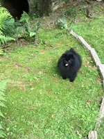 processed/78f6b63c-354c-4f14-8695-5b8f44a83988/facility/7b94b795-8f48-4d4b-a46c-0ccd5f329543