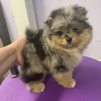 processed/78f6b63c-354c-4f14-8695-5b8f44a83988/facility/d0de6556-f06c-43c8-8ab5-2f1fe4ad8fe6