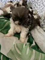 processed/78f6b63c-354c-4f14-8695-5b8f44a83988/listing/59a8882b-f238-4082-928c-e7122ad1a85b/21b92a15-606d-4bbe-bce8-67be87733df0