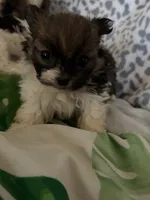 processed/78f6b63c-354c-4f14-8695-5b8f44a83988/listing/59a8882b-f238-4082-928c-e7122ad1a85b/a9bd276f-7287-4650-8cd4-2d73d7005bfe