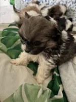 processed/78f6b63c-354c-4f14-8695-5b8f44a83988/listing/59a8882b-f238-4082-928c-e7122ad1a85b/b0e90a4f-50af-42c4-9818-cee203016106