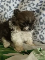 processed/78f6b63c-354c-4f14-8695-5b8f44a83988/listing/59a8882b-f238-4082-928c-e7122ad1a85b/bedae941-615f-4fdf-b8ce-2b9e7103d6f1