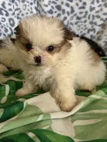 processed/78f6b63c-354c-4f14-8695-5b8f44a83988/listing/86e863a0-9c4b-4b55-bb46-a6c3ae885cb6/64833a11-9a66-4668-af5f-b4f5f80160a4