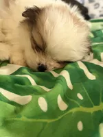 processed/78f6b63c-354c-4f14-8695-5b8f44a83988/listing/86e863a0-9c4b-4b55-bb46-a6c3ae885cb6/b1f045d2-f8f4-4d9d-ba24-d10e0c675c6e