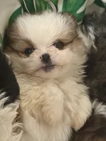 processed/78f6b63c-354c-4f14-8695-5b8f44a83988/listing/86e863a0-9c4b-4b55-bb46-a6c3ae885cb6/c10fda46-8493-408a-a1b7-083cf8d71347