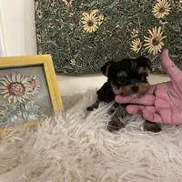 processed/790c3258-b5ed-44e3-b1bf-b28418076daf/facility/1233480d-feca-4056-9f99-83b937ffa6fc