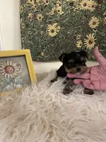 processed/790c3258-b5ed-44e3-b1bf-b28418076daf/facility/1233480d-feca-4056-9f99-83b937ffa6fc