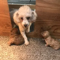 processed/790c3258-b5ed-44e3-b1bf-b28418076daf/facility/2acd4d38-87ee-4459-a597-f5ca45a6d6c9