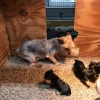 processed/790c3258-b5ed-44e3-b1bf-b28418076daf/facility/3de76c77-2e39-4e57-965d-75115dc2a0de