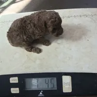 processed/790c3258-b5ed-44e3-b1bf-b28418076daf/facility/9f4a0b93-93e0-41d3-8e14-bfadc5df300c