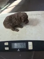 processed/790c3258-b5ed-44e3-b1bf-b28418076daf/facility/9f4a0b93-93e0-41d3-8e14-bfadc5df300c