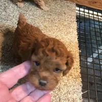 processed/790c3258-b5ed-44e3-b1bf-b28418076daf/facility/cc65baf4-4e3d-448e-91b8-9f2f22300bfa