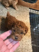 processed/790c3258-b5ed-44e3-b1bf-b28418076daf/facility/cc65baf4-4e3d-448e-91b8-9f2f22300bfa