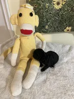 Snickers 2 , a male Poodle - Toy  for sale in Summit, MS – Photo 2 of 3